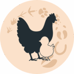 Pluimvee